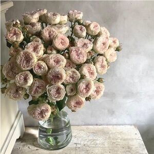 🎐 Thank you! 🎐